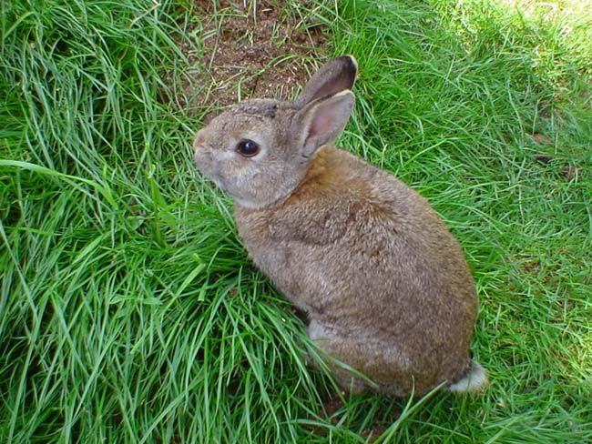 Image has been resized