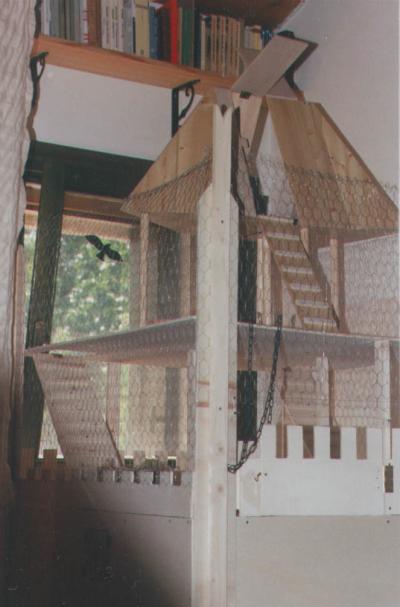 la dimora in legno di Protty per l'inverno, a tre piani con mansardina