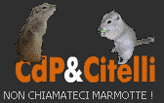 visita il sito CdP&Citelli