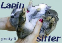 trova una lapinsitter per il tuo niglietto o dai la tua disponibilita' come lapinsitter!