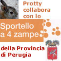 accedi ai servizi del nuovo sportello a 4 zampe virtuale della Provincia di Perugia