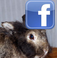 la pagina Facebook di protty.it