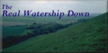 Watership Down